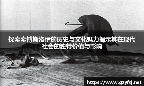 探索索博斯洛伊的历史与文化魅力揭示其在现代社会的独特价值与影响